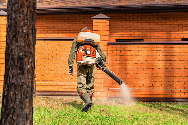 Trusted Emergency Pest Control service in Catahoula, LA - Nex Pest Control